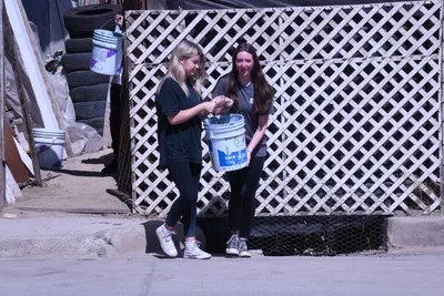 DSC_2049 (Large).JPG